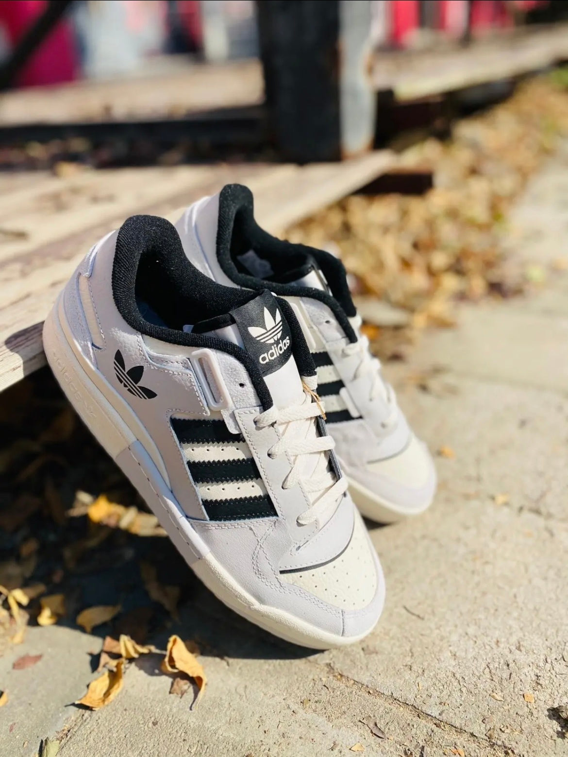 Adidas Originals Forum Exhibit Low Sneakers in Gray Black GX6284 - product image from the listing.